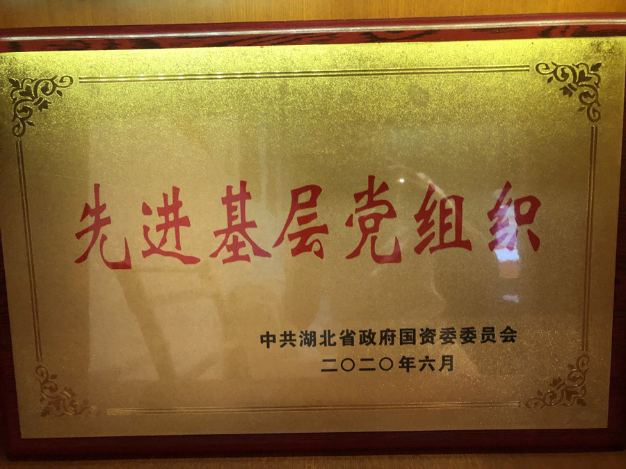 2020年6月，被省國(guó)資委評(píng)為“先進(jìn)基層黨組織”